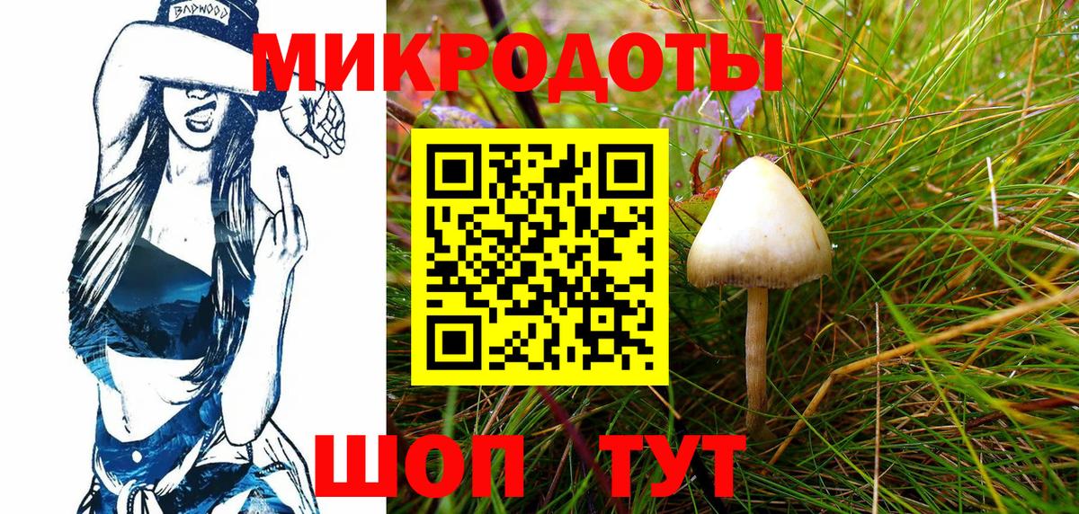 Псилоцибиновые грибы GOLDEN TEACHER  Вход с VPN  Шебекино 